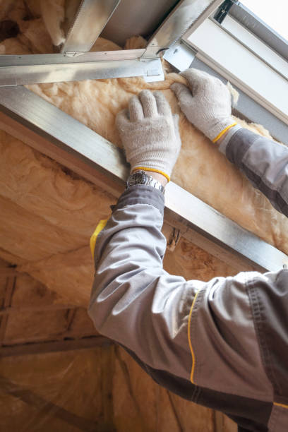 Best Geographic-Specific Insulation Services in Barton Creek, TX